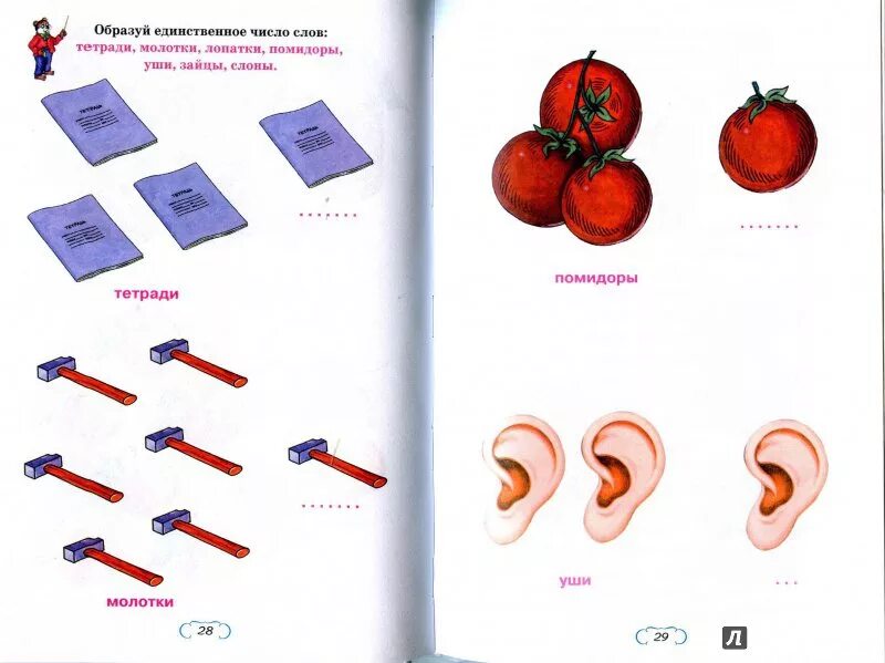 Единственное и множественное число существительных задания. Единственное и множественное число задания для дошкольников. Единственное и множественное число существительных для дошкольников. Образование множественного числа для дошкольников логопедия. Существительные множественного числа для дошкольников.