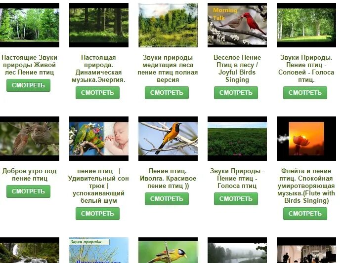 описание звуков природы. стих о звуках природы. презентация звуки природы. звуки живой природы. звуки природы мем.