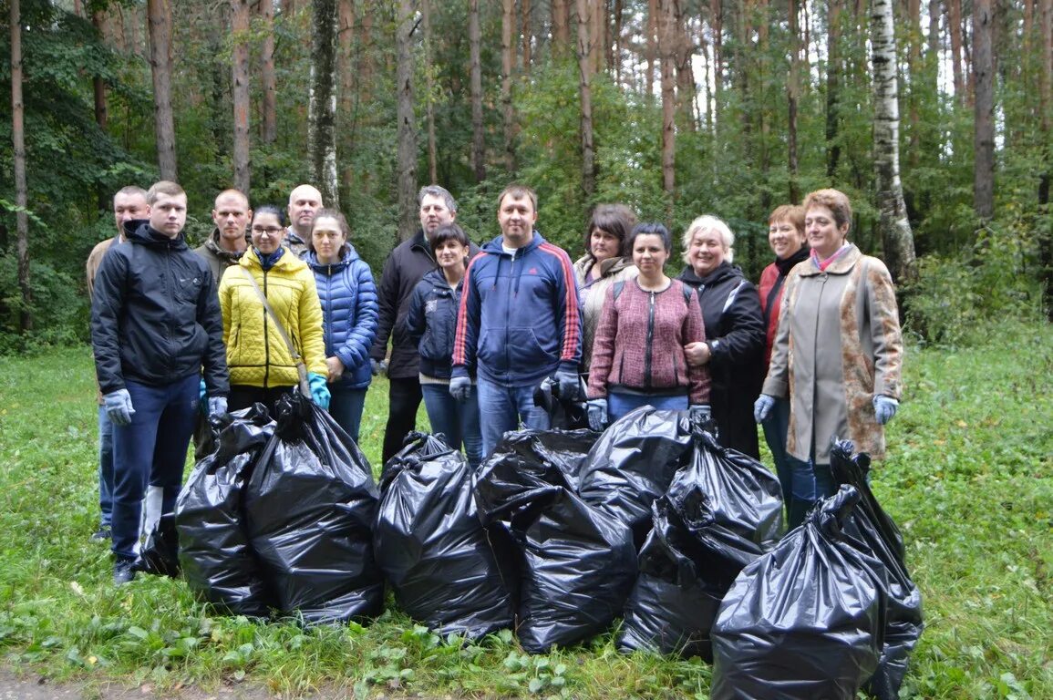 Экология Ивановской области. Экологическая обстановка в Ивановской области. Экологические проблемы Ивановской области. Уборка мусора в лесу. Ситуация в ивановском