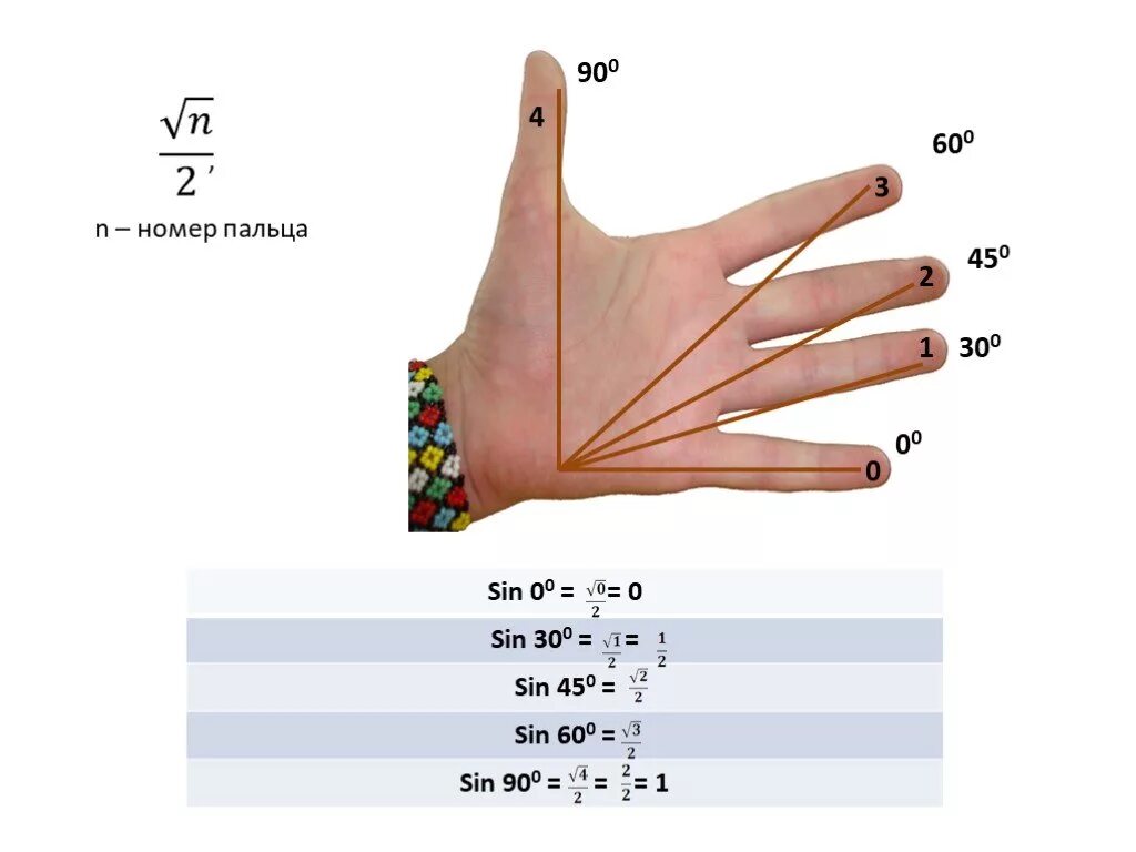 Синус косинус на руке. Косинус и синус по пальцам. Синус и косинус по руке. Синусы и косинусы на ладони. 0 30 45 60 90