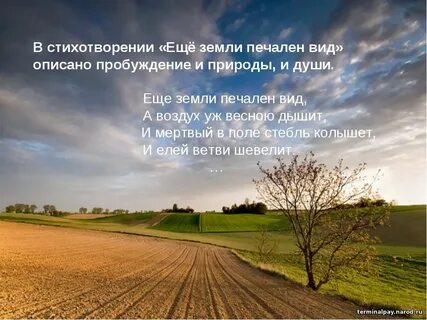 Еще земли печален вид кто написал стихотворение