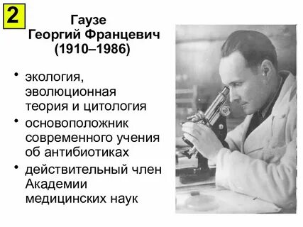 Отечественный ученый гаузе провел ряд экспериментов
