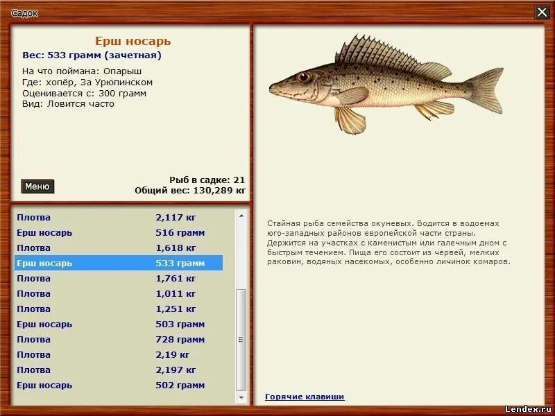 Русская рыбалка носарь. Рыбы обитающие в Хопре. Рыба которая водится в Хопре. Рыбалка на Хопре. Какие рыбы обитают в реке Хопер.