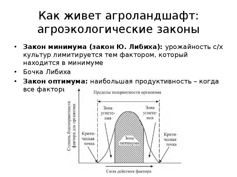 Закон оптимума кратко. Закон оптимума и минимума. Зона оптимума. Агроландшафт и его структура. Агроландшафт презентация.