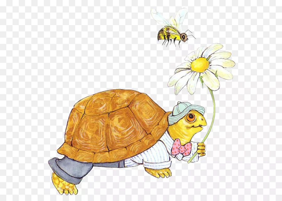 Черепаха тортилла картинки для детей. Мудрая черепаха Тортилла. Черепаха рисунок. Черепаха мультяшная. Черепаха картинка для детей.
