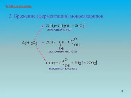 Конечными продуктами брожения являются