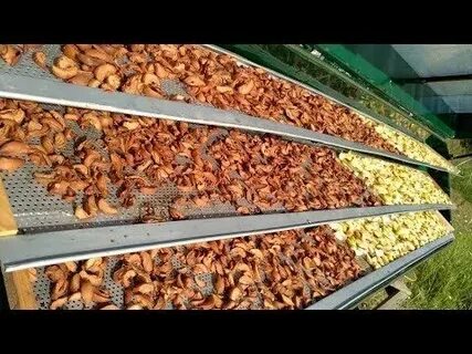 Сушку на солнце