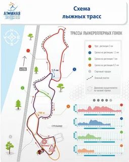 Лыжная трасса алешкино