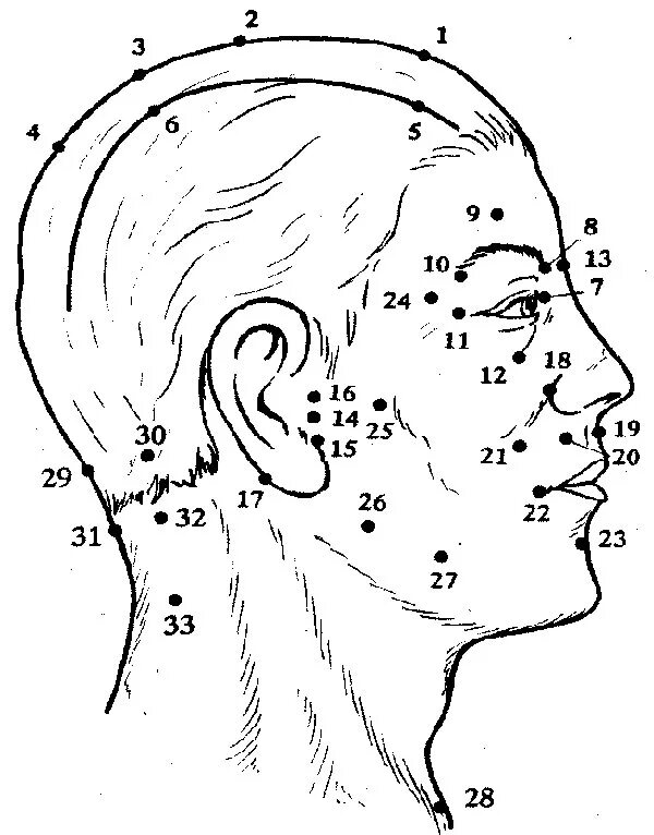 Висок ухо глаз. Точки постановки пиявок на голове. Акупунктурные точки головы схема. Постановка пиявок на голову схема. Акупрессура точечный массаж акупунктура.