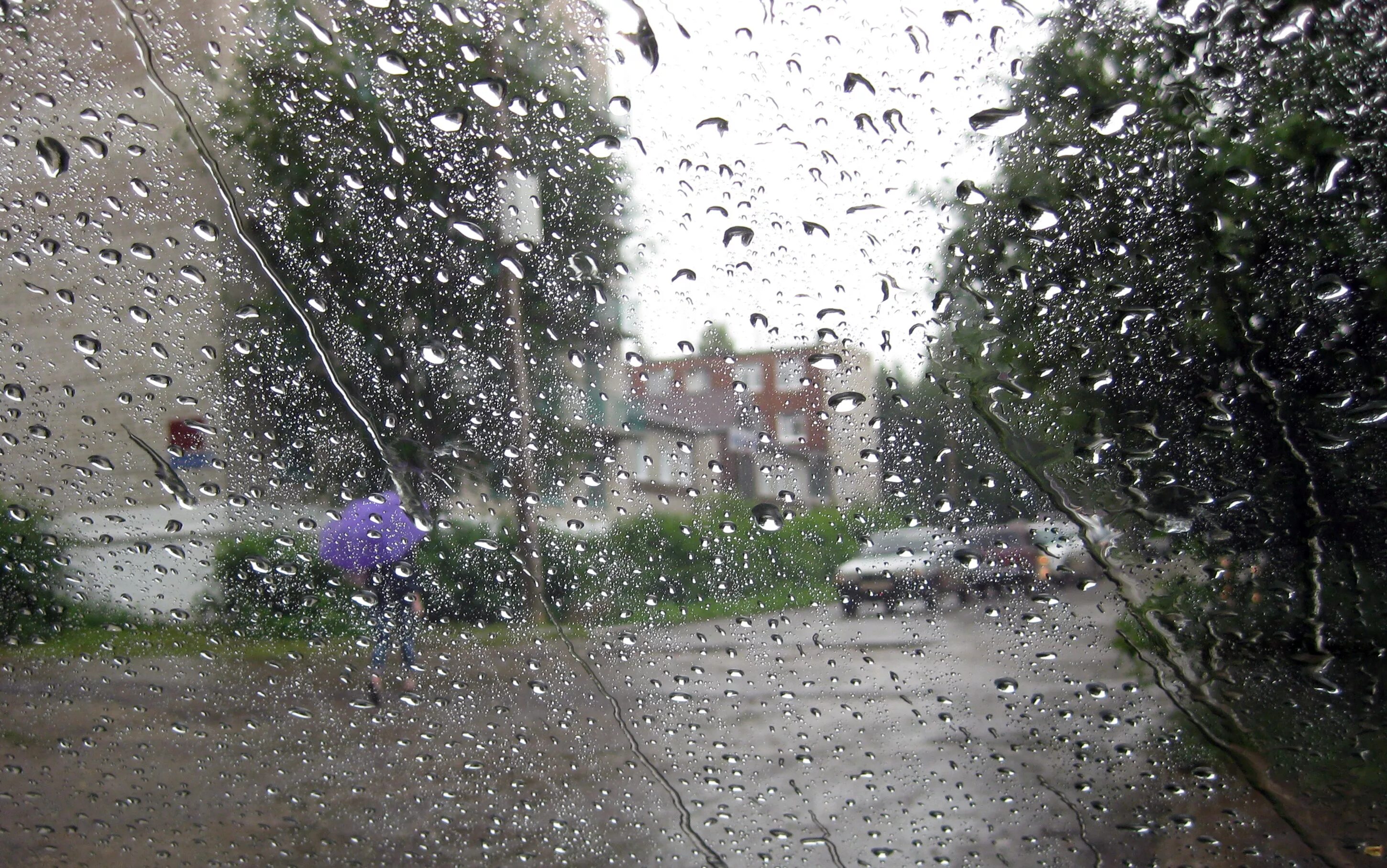 Сильный дождь. Летний ливень. Дождь летом в городе. Дождливое лето в городе. Какое лето будет дождливое