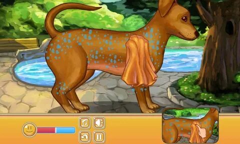 Игры 5 животных