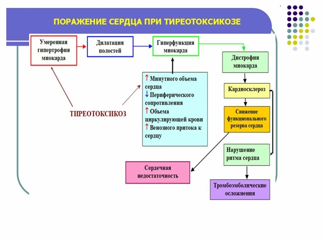 Гиперфункция сердца. Поражение сердца при тиреотоксикозе. механизм развития симптомов при тиреотоксикозе. механизм развития аг при тиреотоксикозе. сердечная недостаточность при тиреотоксикозе.
