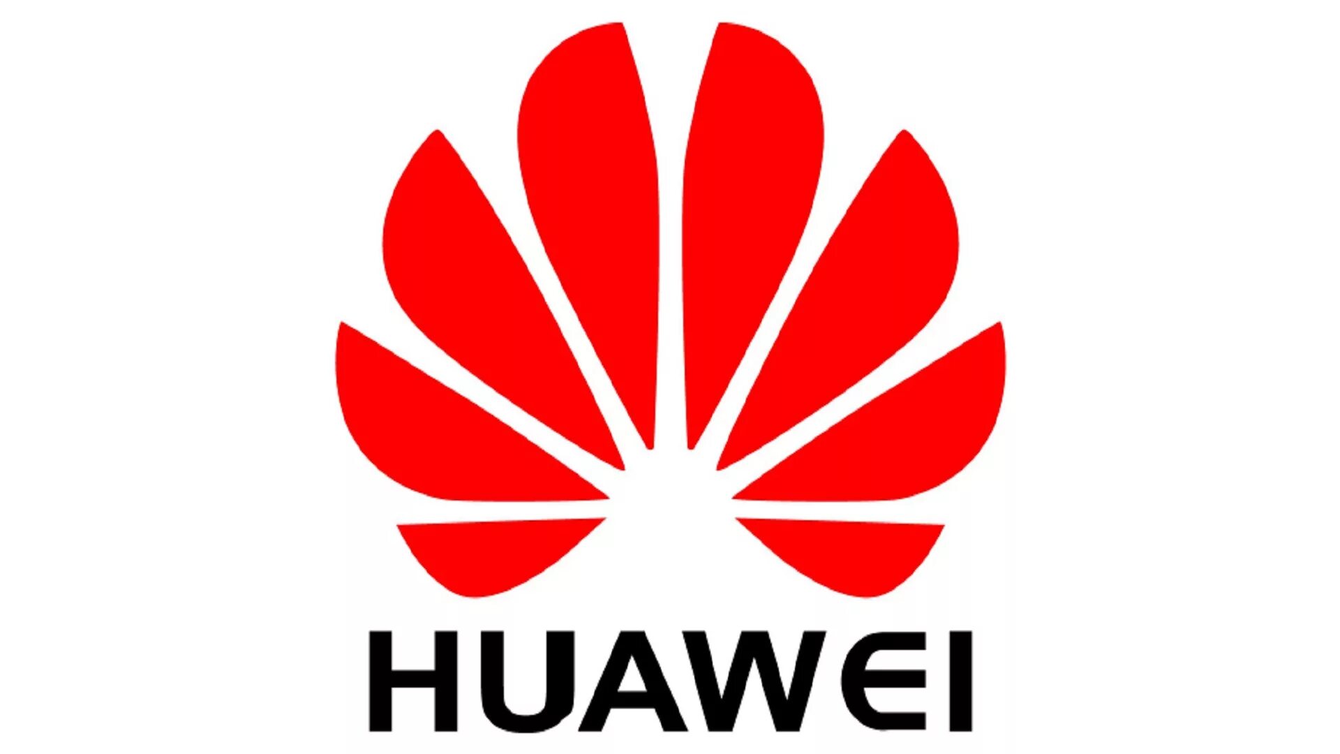 Купить карту хуавей. Huawei бренд. Хуавей лого. Товарный знак Хуавей. Логотип Хуавей на белом фоне.
