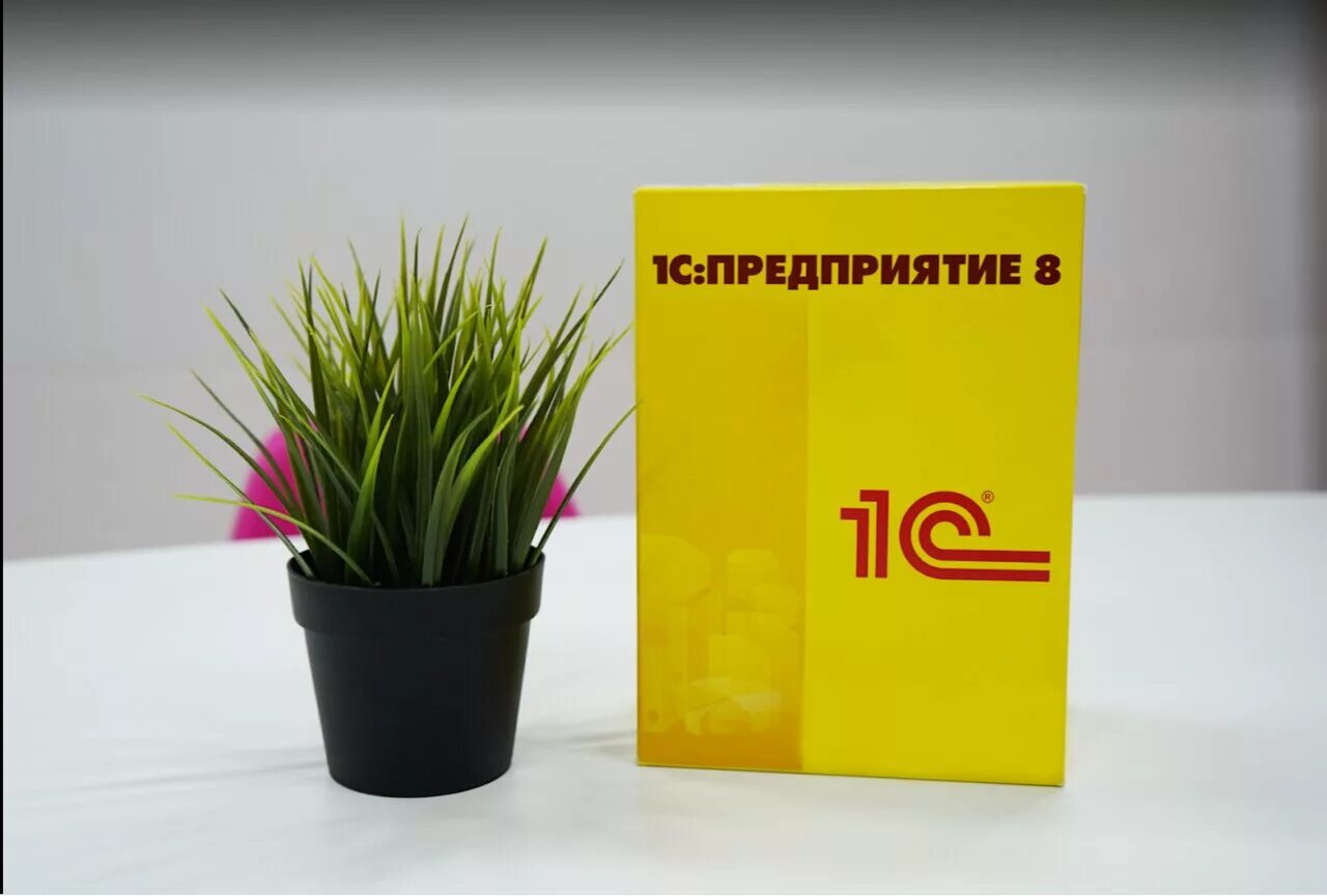 1 с первый бит. Первый бит лого. 1 бит это. первый бит картинка.