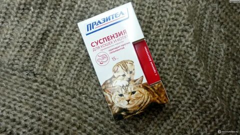 От глистов дома