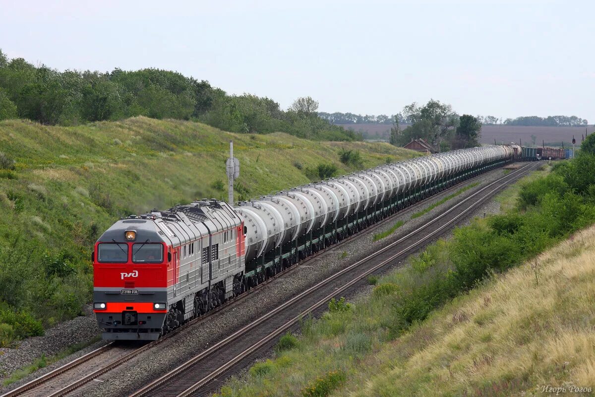 Пассажирский поезд едет за товарным. 2тэ116у RAILGALLERY. 2тэ116у-0136. Россия железная дорога товарняк. Литовские железные дороги грузовой тепловоз.