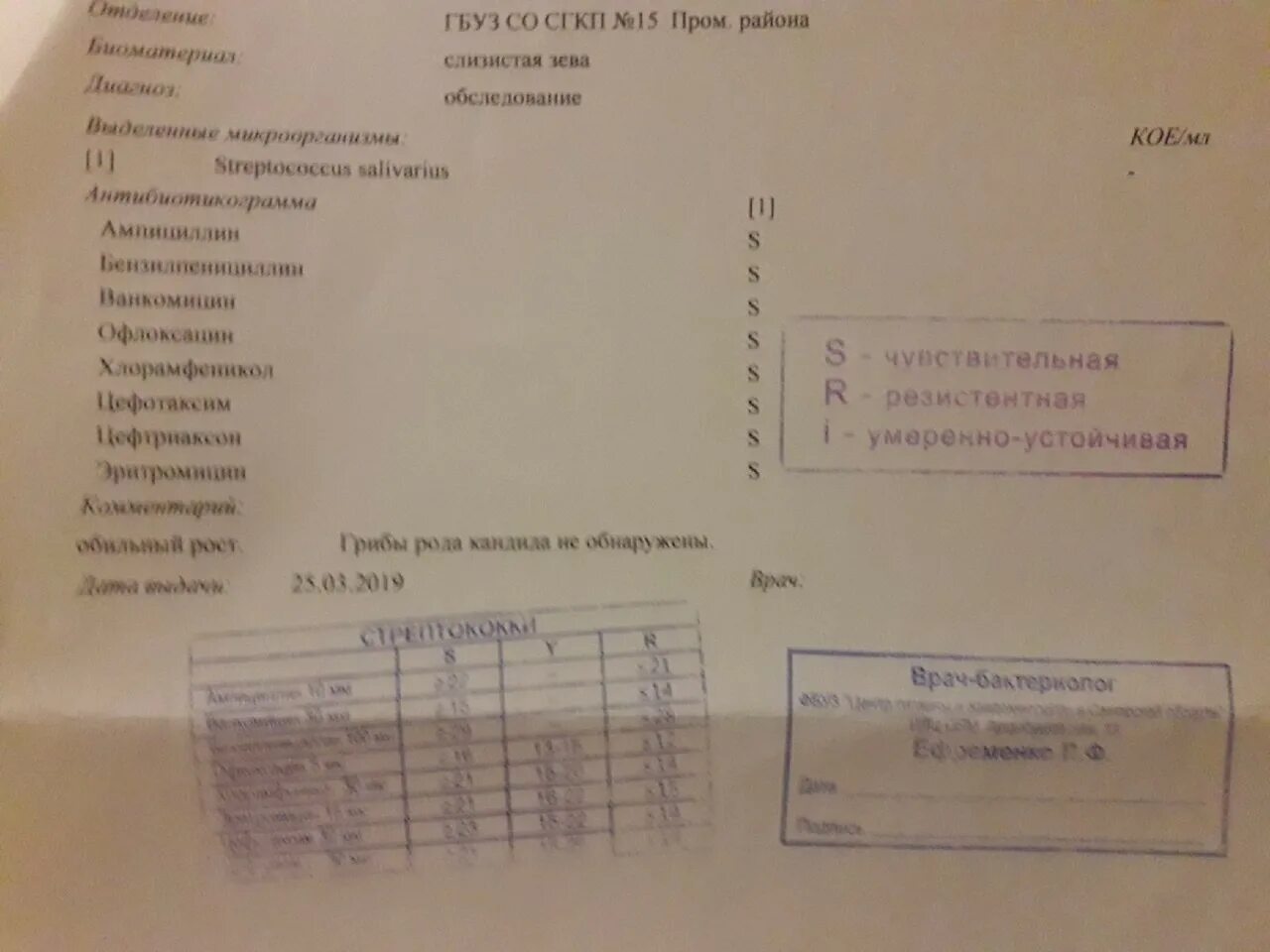 Staphylococcus aureus в носу. Анализ на стафилококк из носа. Мазок из носа на стафилококк норма. Посев из зева на стафилококк. Норма стафилококка в мазке из носа.