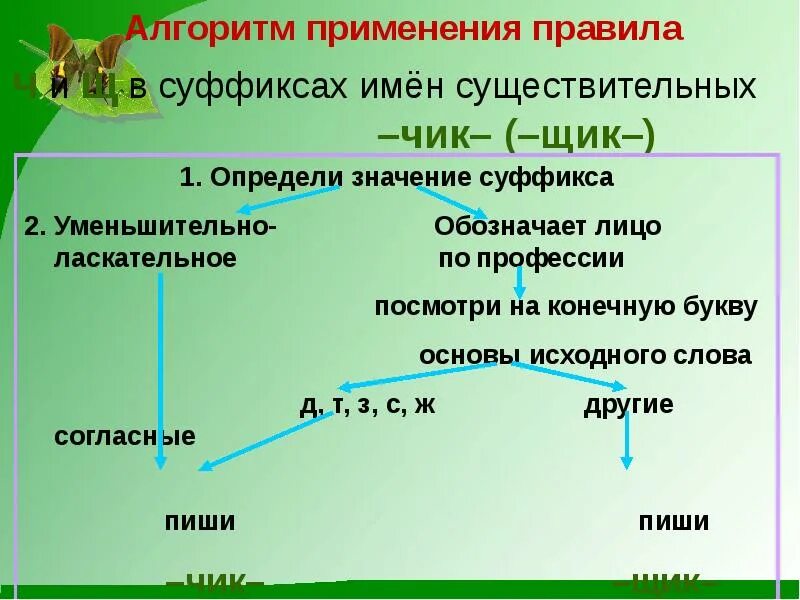 Суффикс щик есть. Буквы ч и щ в суффиксе Чик щик. Буквы ч и щ в суффиксе существительных. Буквы ч и щ в суффиксе существительных Чик щик. Чик щик в суффиксах существительных.