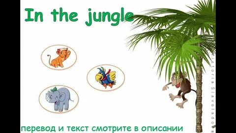 Джунгли на английском