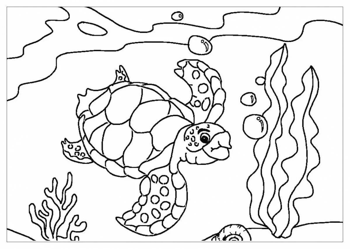 Раскраски обитатели морей. Раскраска морские обитатели. Морские обитатели раскраска для детей. Раскраска "морские жители". Подводный мир раскраска для детей.