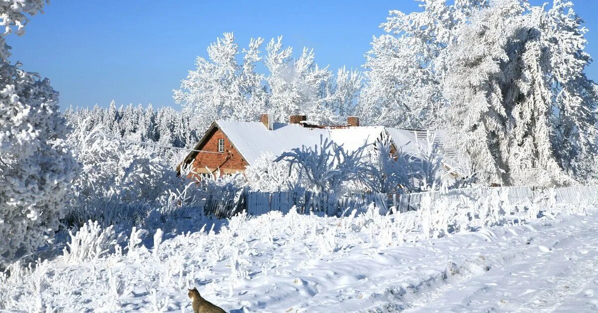 Погода февраль 2019 год. Зима в деревне. Winter in Poland Republic 2019.