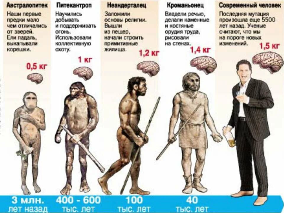 Насколько первый. Ступени развития человека хомо сапиенс. Таблица эволюции неандерталец кроманьонец. Эволюция человека неандерталец кроманьонец. Типы древних людей.