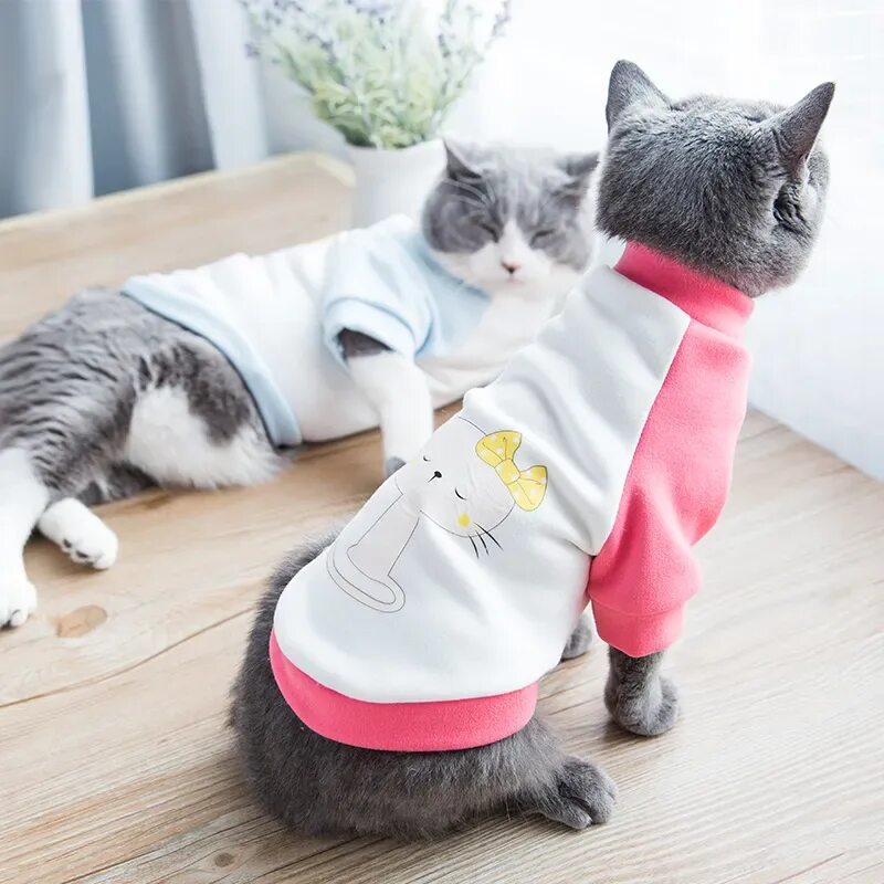 Котики и их одежда. Одежда для кошек. кот в одежде. котята в одежде. костюмы для котов.