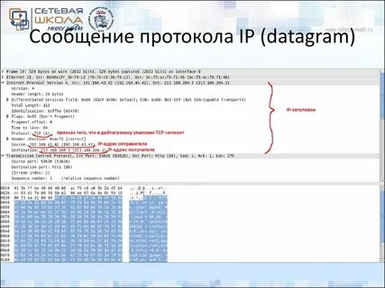 Udp tracker openbittorrent