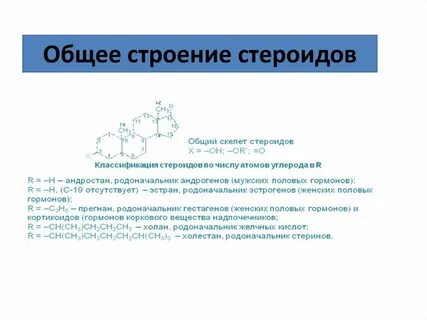 Стероиды это простыми словами