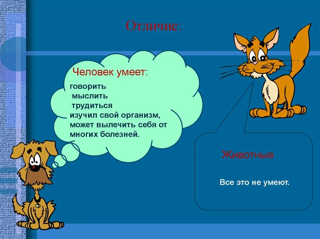 Отличаются вдвое. Чем человек отличается от животных. Животные умеют мыслить. Животные от человека отличие. Чем человек отличается от животного картинки.