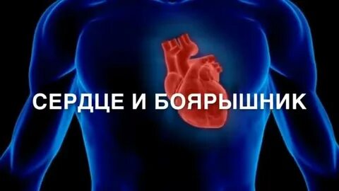 Аритмия сердца боярышник