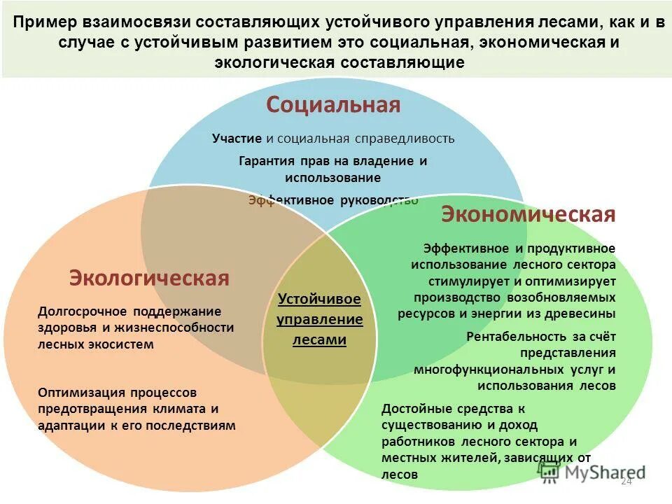 составляющие устойчивости. устойчивая система. основные составляющие устойчивого развития. составляющие устойчивости. виды семейного бизнеса примеры.