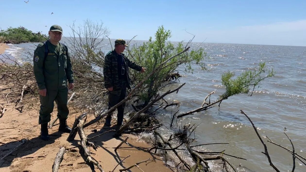 Что происходит в приморье. Владивосток озеро ханка. приморье озеро ханка. озеро ханка дальний восток. ханка фото.