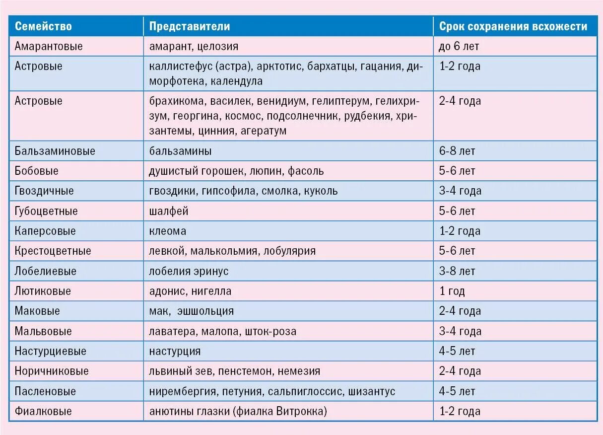 Семена сроки годности всхожести. Срок годности семян овощей таблица. Срок годности на семена таблица. Сроки всхожести семян овощей таблица. Сроки годности семян овощных культур таблица.