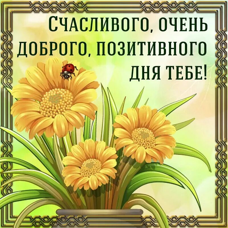 Картинки доброго дня с жизнеутверждающими пожеланиями. Открытки с пожеланиями отличного дня. пожелания доброго дня. поздравление с хорошим днём картинки. открытки отличного настроения на весь день.