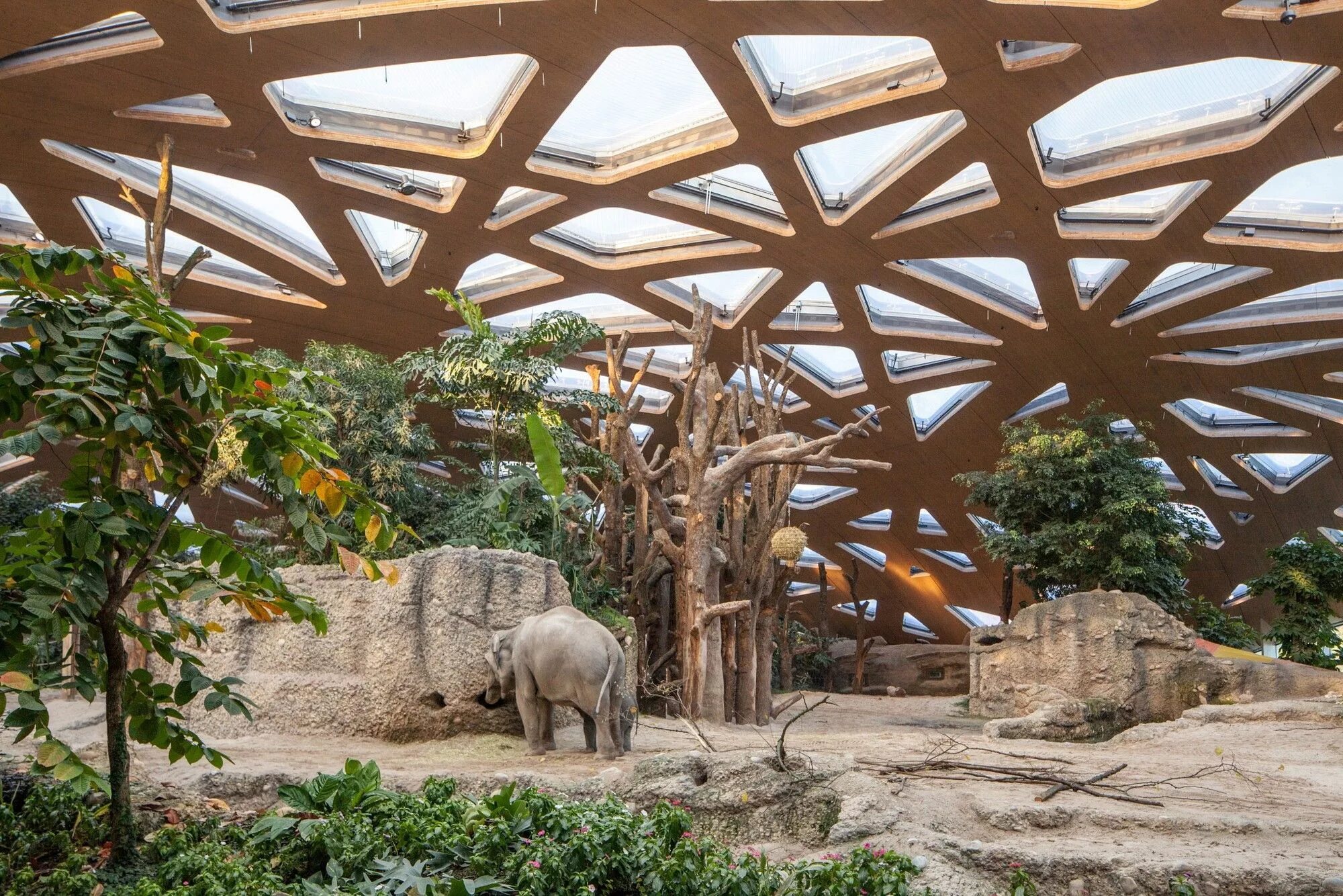 Elephant house. Зоопарк в Цюрихе ландшафт. Зоопарк Сингапур архитектура. Вольеры в зоопарке. Вольеры для слонов.