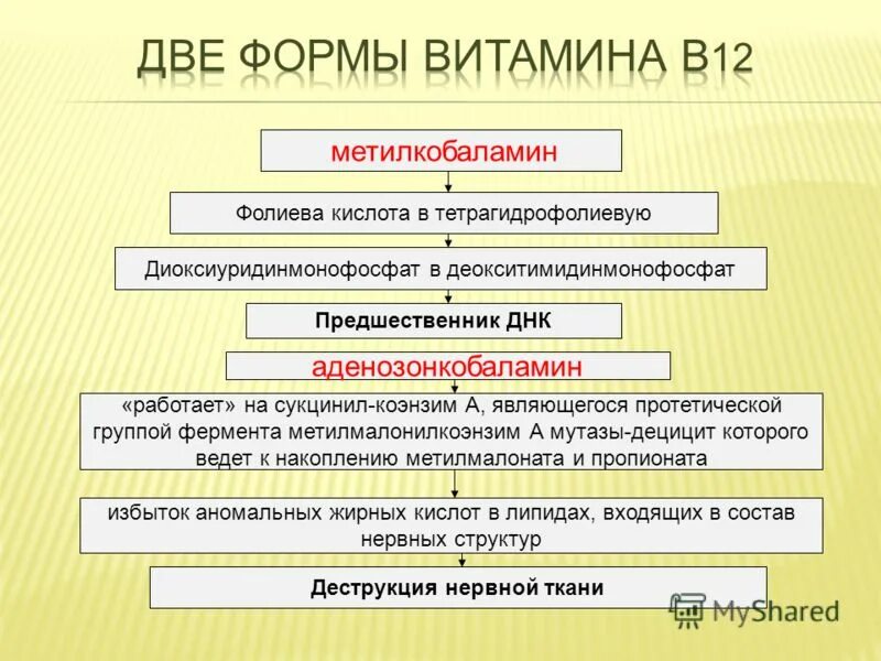 Этиология эритроцитоза. Этиология эритроцитоза