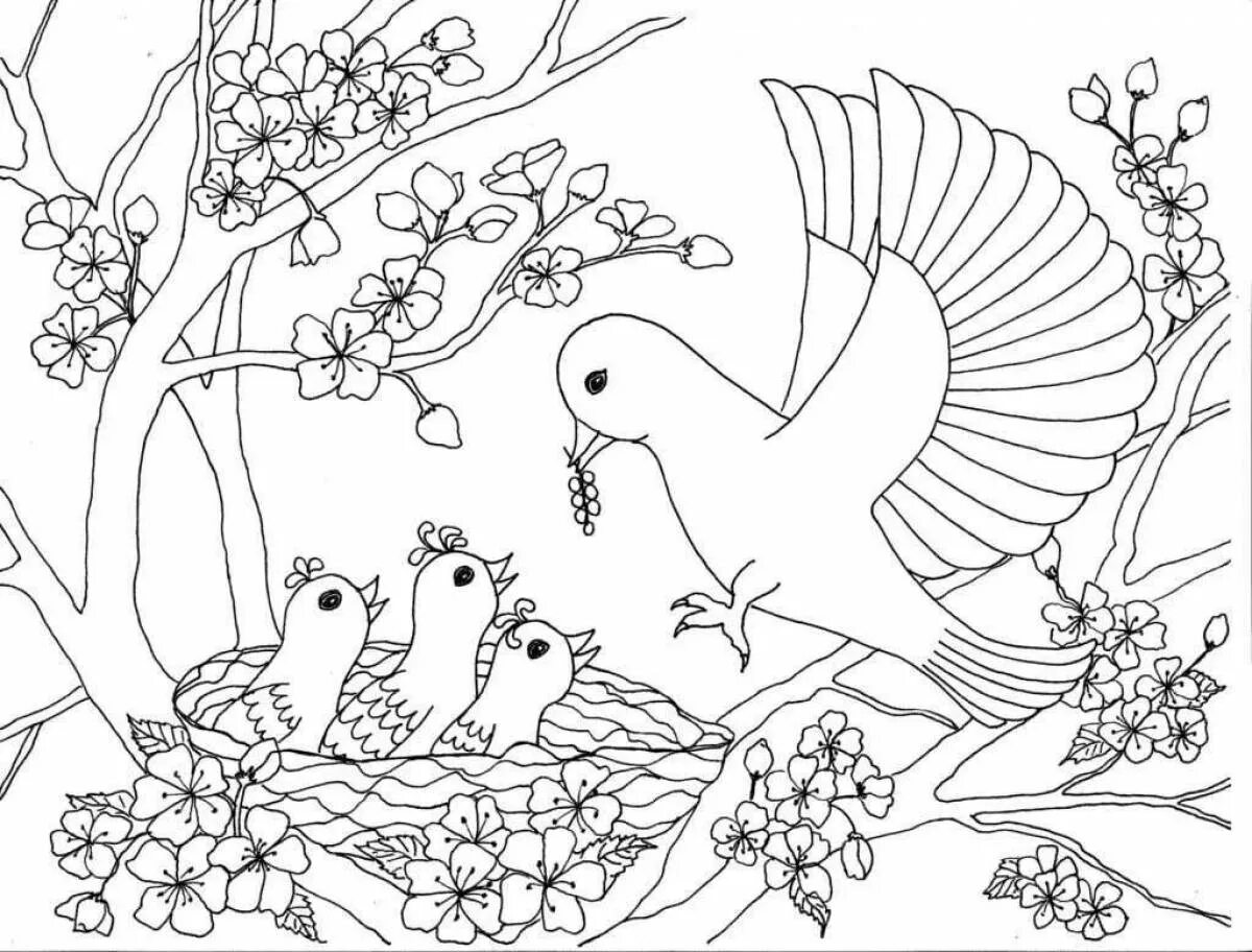 Распечатать рисунки природа. Птицы. раскраска. птичка раскраска. раскраска природа. птицы раскраска для детей.