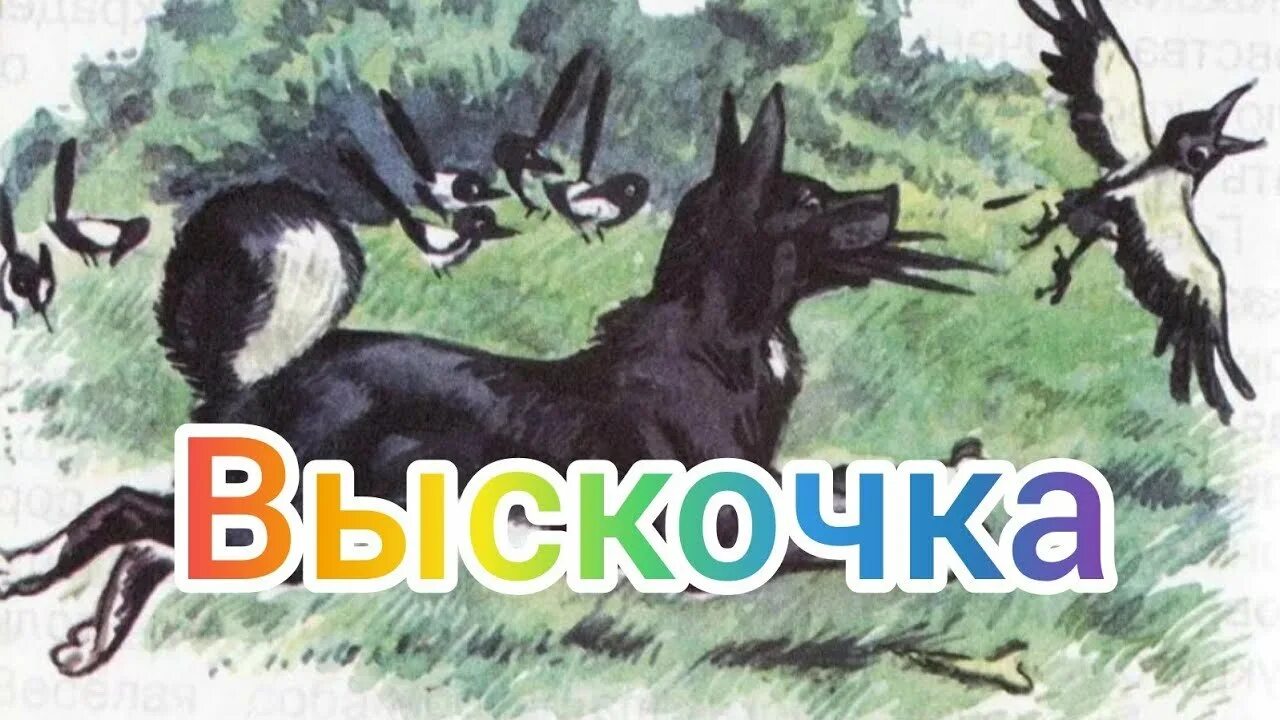 Пришвин вьюшка и выскочка. Молчание выскочка роскошный. Выскочка рассказ. Выскочка пришвин 4 класс. Молчание выскочка роскошный.