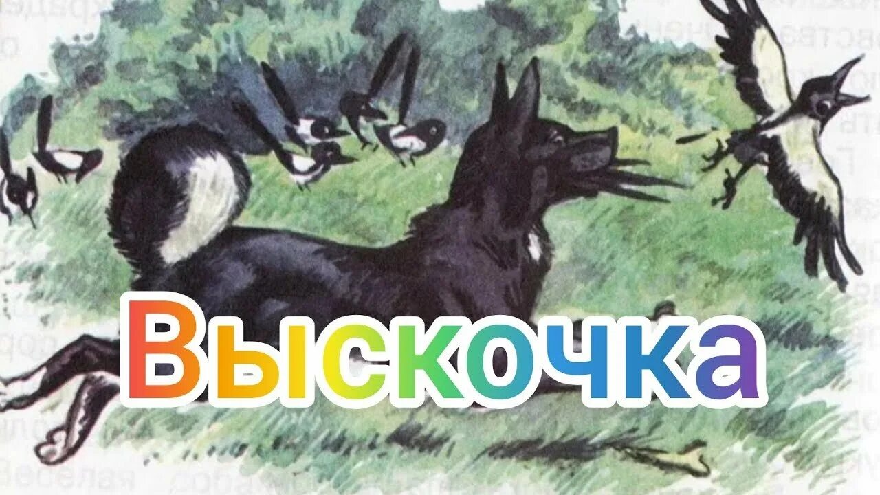 М м пришвин выскочка пересказ. Иллюстрация к рассказу м пришвин выскочка. Произведения Пришвина выскочка. М. М. Пришвина «выскочка».