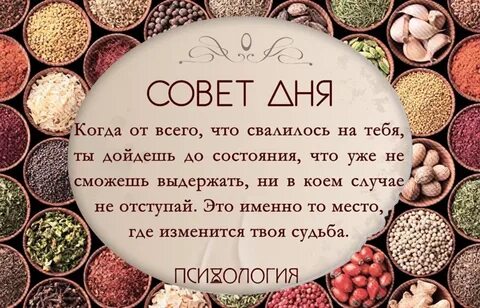 Фразы сегодня