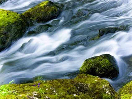 Водное пространство реки