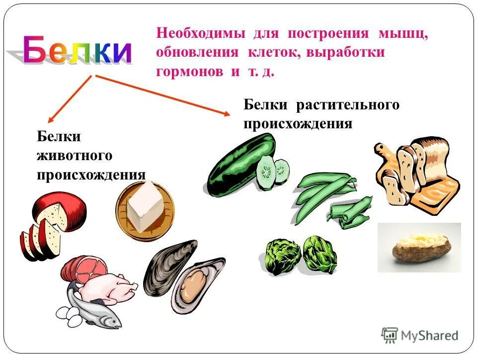 Отметь продукты растительного происхождения