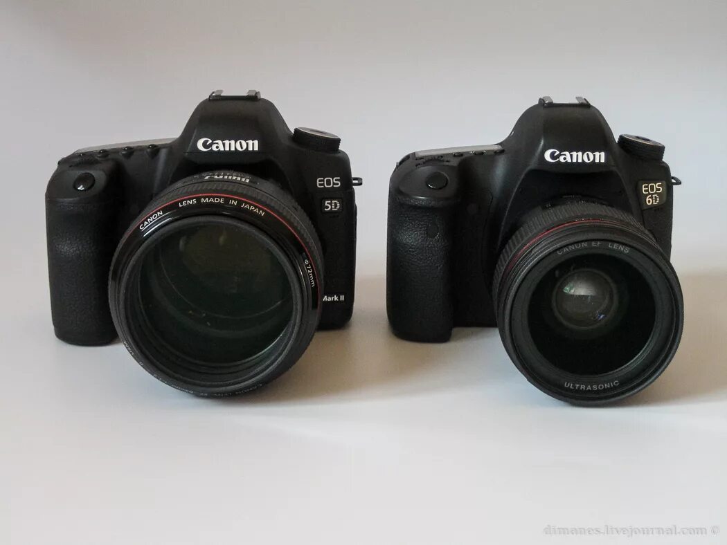 кэнон 6д. Canon d5600. фотоаппарат canon eos 100d body. Canon выбрать. чехол кэнон 6д марк 2.