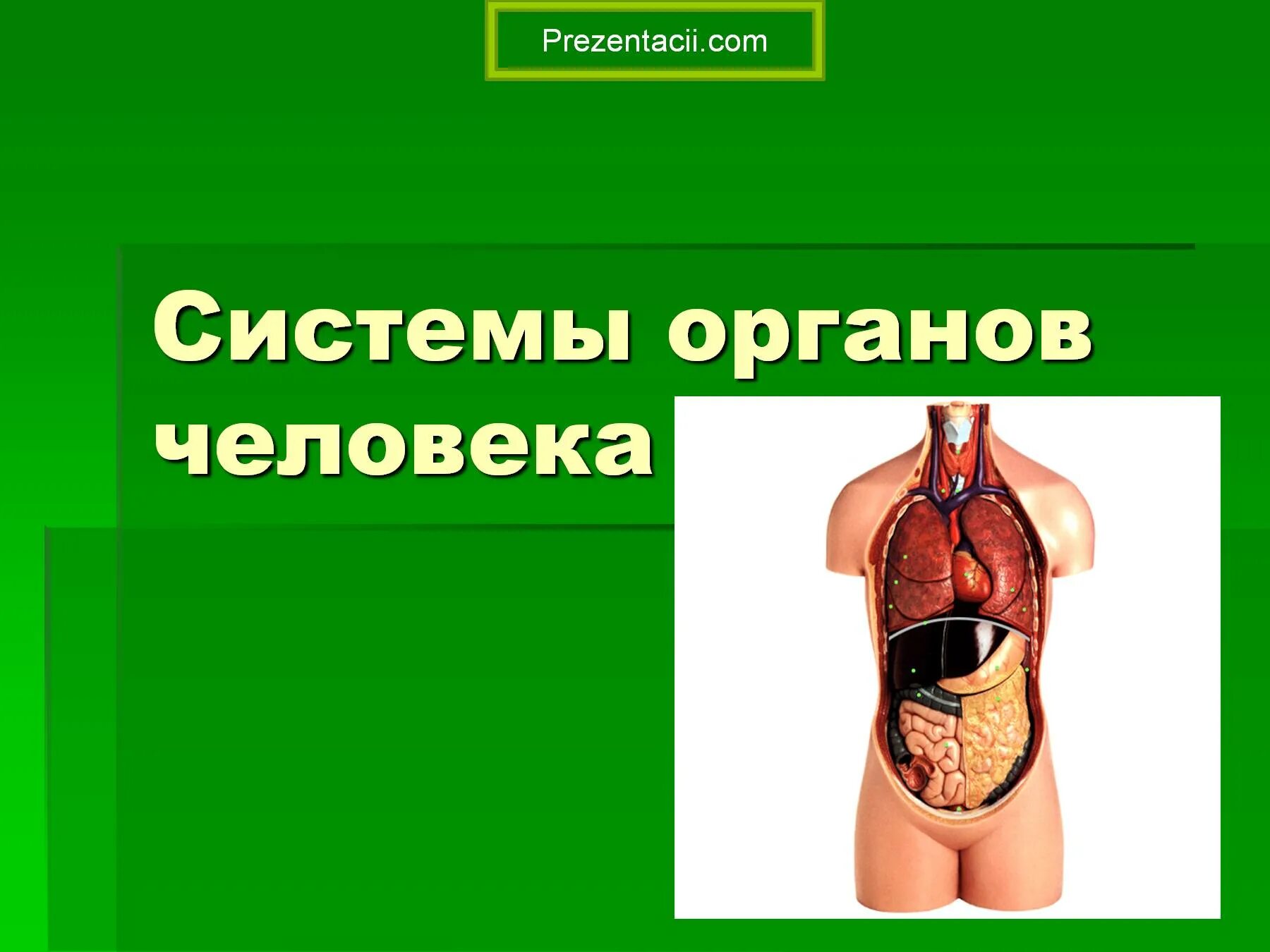 Системы органов челове. Слайд системы органов человека. Системы органов человека презентация 8 класс. Орган это в биологии. Факты систем органов человека