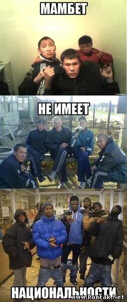 Мамбет. Мамбеты в Казахстане. Типичный Мамбет. Мамбет мемы.