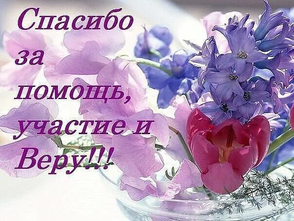 Спасибо за помощь. Спасибо за поддержку. Благодарю за поддержку. Благодарим за помощь. Слово спасибо помогает