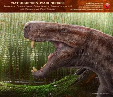 Редкий период