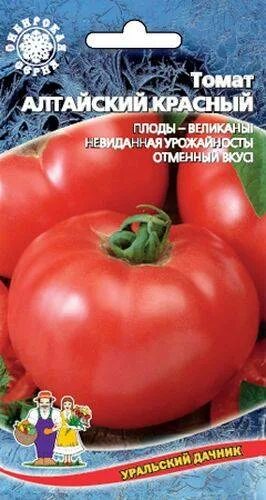 Томат алтайский красный. Томат Алтайский богатырь. Алтайский богатырь томат характеристика.