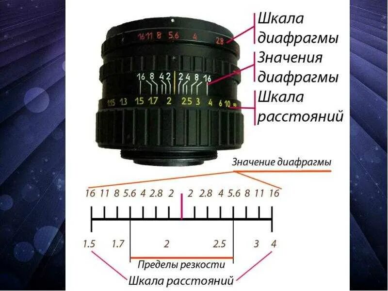 Как работает диафрагма. Шкала глубины резкости на объективе. диафрагма объектива. величина диафрагмы фотоаппарата это. диаметр диафрагмы объектива.
